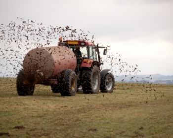 Effluent spreading in rural canterbury can effect you